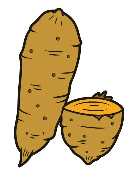 Vector illustration of Sweet Potato cartoon