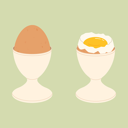 Soft or hard boiled eggs in egg holder and eggshell, breakfast flat isolated vector illustration