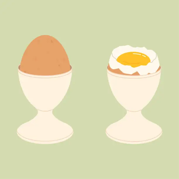 Vector illustration of Soft or hard boiled eggs in egg holder and eggshell, breakfast flat isolated vector illustration