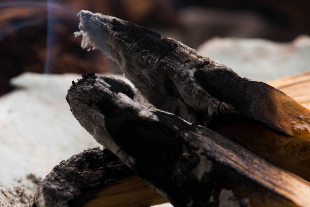 istock Smudging ceremony using Peruvian Palo Santo holy wood incense stick 1889337588
