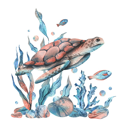Underwater world clipart with sea animals turtle, fish, pebbles, bubbles, coral and algae. Hand drawn watercolor illustration. Isolated composition on a white background