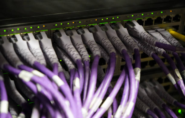 Close up of purple network cables
