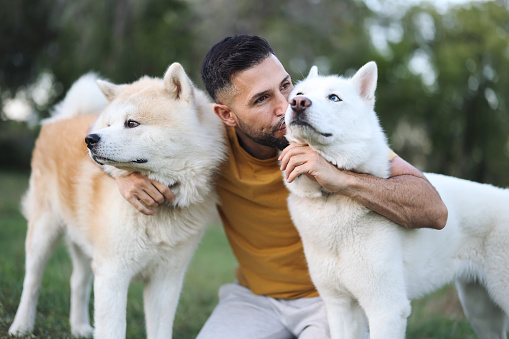 portrait of man hugging his dogs with his head in the middle while giving them a kiss