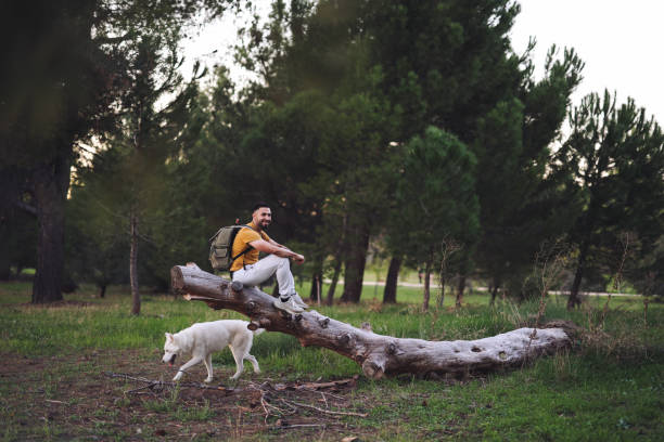 istock adult man backpacker hiking sitting on a tree trunk with his dog 1889388314