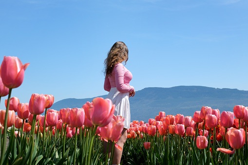 Young girl tourist in pink dress and straw hat standing in blooming tulip field. Spring time