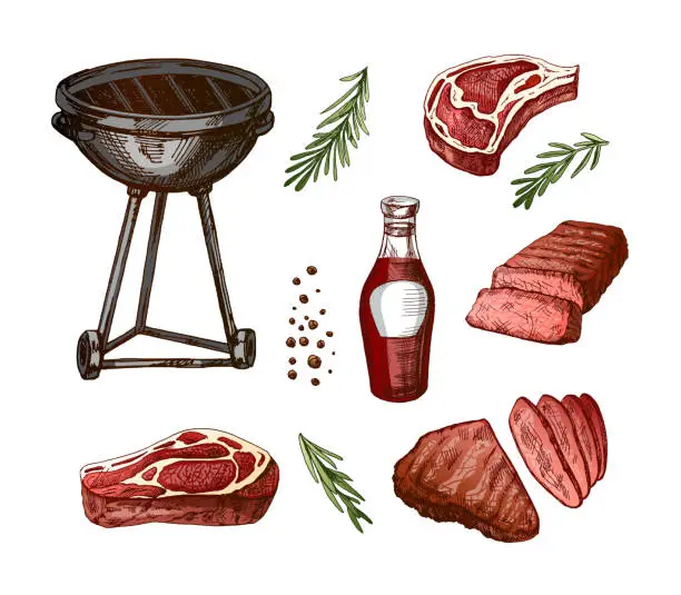 Vector illustration of A set of hand-drawn sketches of barbecue elements. For the design of the menu of restaurants and cafes, grilled food. Doodle vintage illustration. Engraved image.