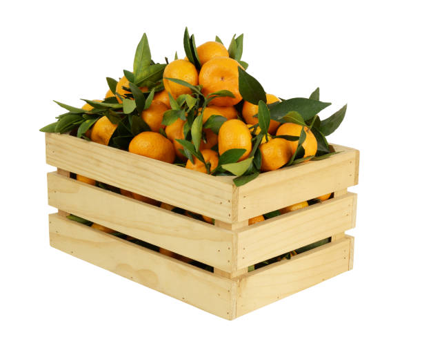 istock Tangerines in wooden crate isolated on white background. 1889476987