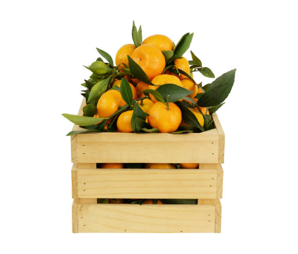 istock Tangerines in wooden crate isolated on white background. 1889476998
