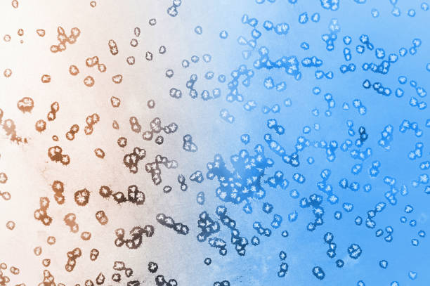 Abstract frosty pattern on glass.