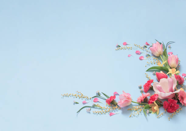 beautiful spring flowers on blue background