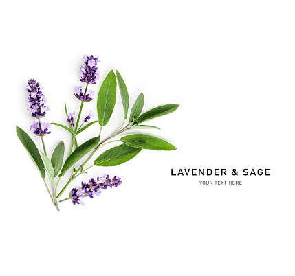 Lavender flower and sage leaves bunch isolated on white background. Top view, flat lay. Creative layout. Floral design element. Aromatherapy and herbal medicine concept