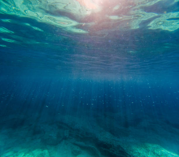 istock Abstract underwater scene with sunrays and school of fish 1889514580