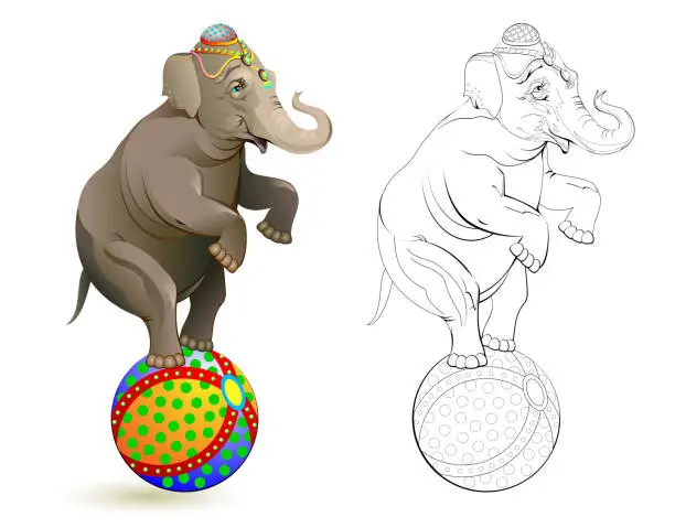 Vector illustration of Fantasy illustration of cute elephant dancing on a ball at circus performance. Colorful and black and white page for coloring book. Worksheet for children and adults. Vector cartoon image.