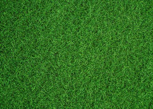 Close-up seamless texture  of green grass. Concept : 3d texture material for rendering