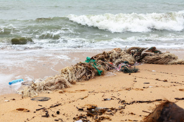 istock Garbage on sea beach, dirty ocean water, environmental pollution, ecological problem, waste management, junk recycle, unsorted rubbish, plastic bag, glass bottle, metal can, trash, refuse pile, litter 1889557674