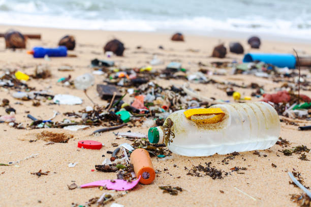 istock Garbage on sea beach, dirty ocean water, environmental pollution, ecological problem, waste management, junk recycle, unsorted rubbish, plastic bag, glass bottle, metal can, trash, refuse pile, litter 1889557975
