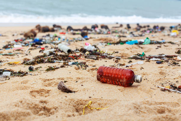istock Garbage on sea beach, dirty ocean water, environmental pollution, ecological problem, waste management, junk recycle, unsorted rubbish, plastic bag, glass bottle, metal can, trash, refuse pile, litter 1889557977