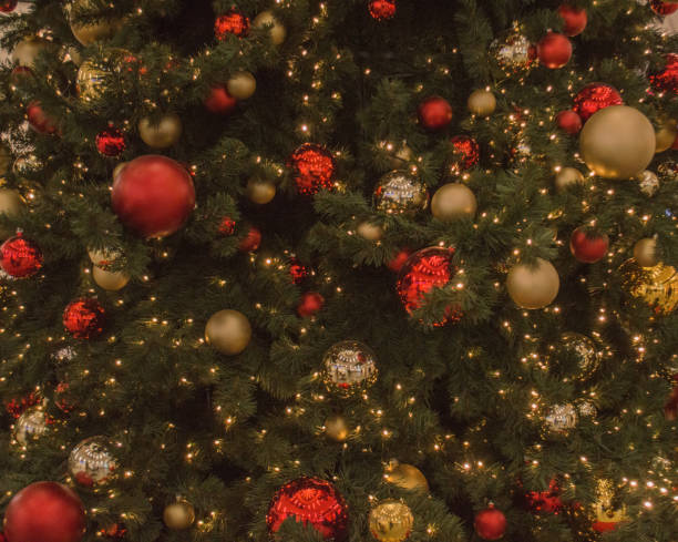istock The Christmas tree with electric lamps 1889564282