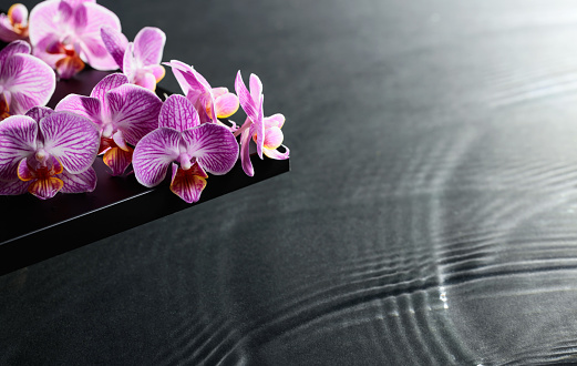 Beautiful purple orchid flowers on a blackboard. Water ripples in the background.  Concept banner for spa and cosmetic body care products.