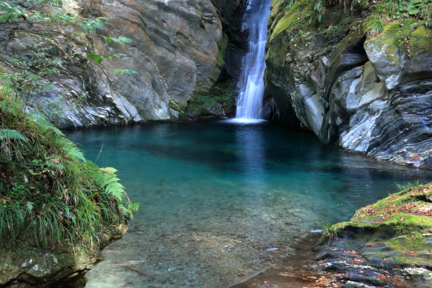 istock Mitararu Gongen Falls, Mysterious Waterfall (Tosa Town, Kochi Prefecture) 1889589616