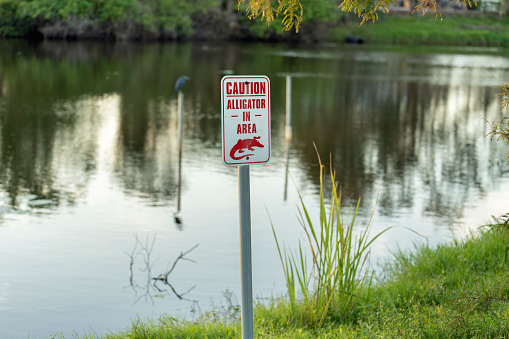 Alligator danger warning signpost in Florida waterfront park about caution and safety during walking near water.