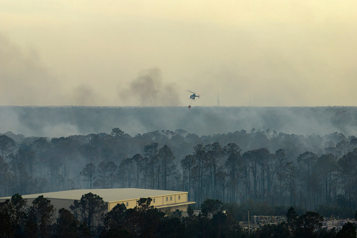 Aerial view of fire department helicopter extinguishing wildfire burning severely in Florida jungle woods. Emergency service chopper trying to put down flames in forest.