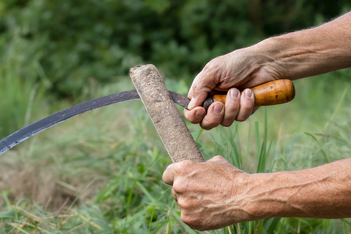 A man sharpens a sickle with a grindstone for mowing grass.Mowing grass in the yard.