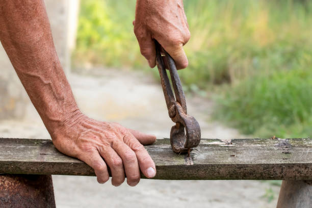 istock Nail puller is removing the nail from the wooden board. Small carpentry work in the workshop. Home renovation. 1889615287