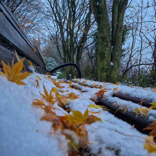 istock First snow, England Burton on Trent, Park Staphenhill. 1889616944