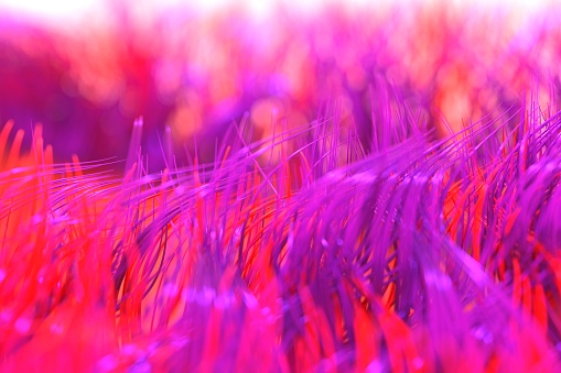 A ciliated object with a purple red colour of the theme colour is seen swinging. It looks like a dream scene.　This image is not created by AI.
This work was policy within one month. It is also an original work for this brief and cannot be used elsewhere.