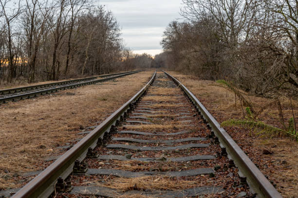 istock Old railroad tracks in the countryside 1889643555