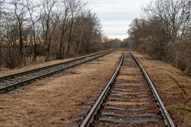 istock Old railroad tracks in the countryside 1889643597