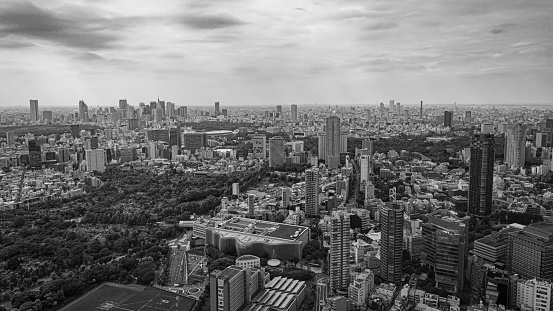 View from the Tokyo Metropolitan Government Observatory