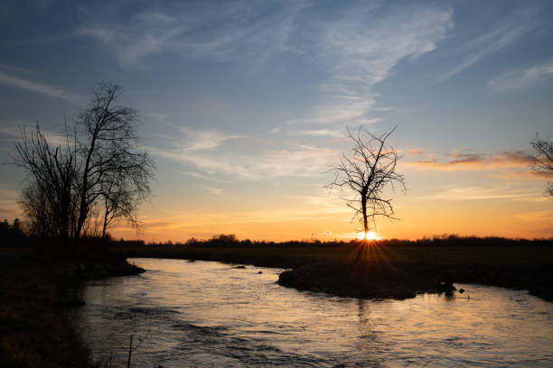 istock The sun sets behind a bare tree. It is evening. The horizon in the background. The sky is blue and orange. The sun's rays are shining. Water flowing in the foreground 1889662108