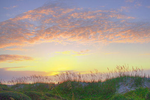 Beach Sunrise with Sea Grass- Hilton Head, South Carolina