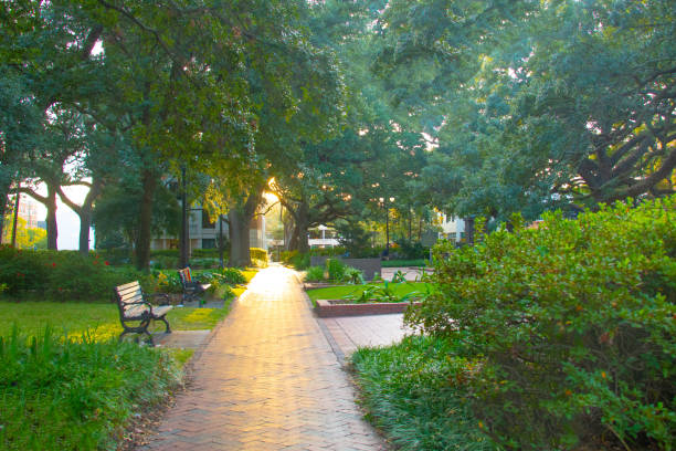 Pathway to the gate and roadway of historic home known as Rosalie in Natchez Mississippi