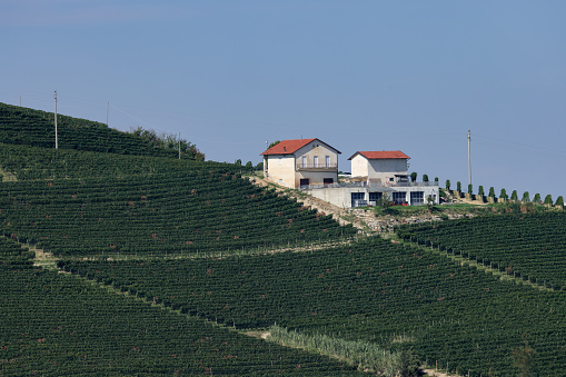 vinery on top of a vineyard
