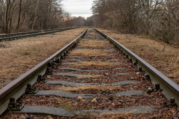 istock Old railroad tracks in the countryside 1889839199