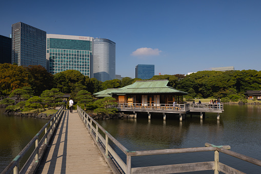 Tokyo, Japan - 12 August, 2023: Hamarikyu Gardens is a public park in Chuo Ward,Tokyo, Japan.\nTokyo, Tokyo, Japan