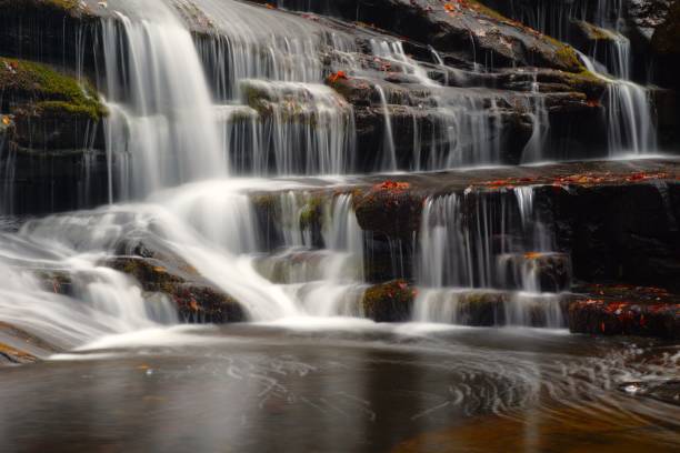 istock Fall Creek Falls State Park Tennessee 1889851328