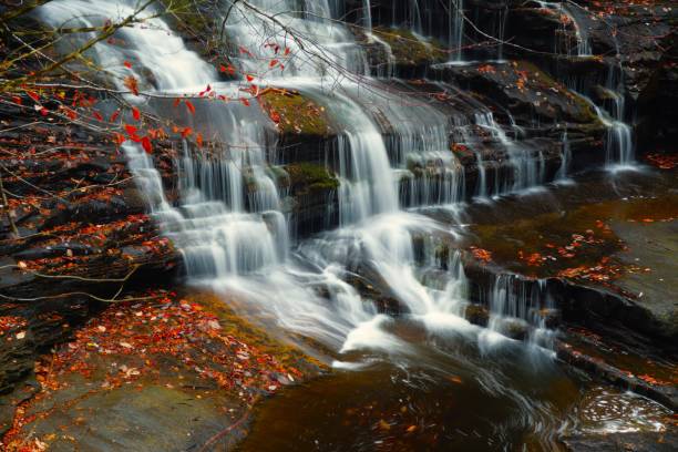 istock Fall Creek Falls State Park Tennessee 1889851843