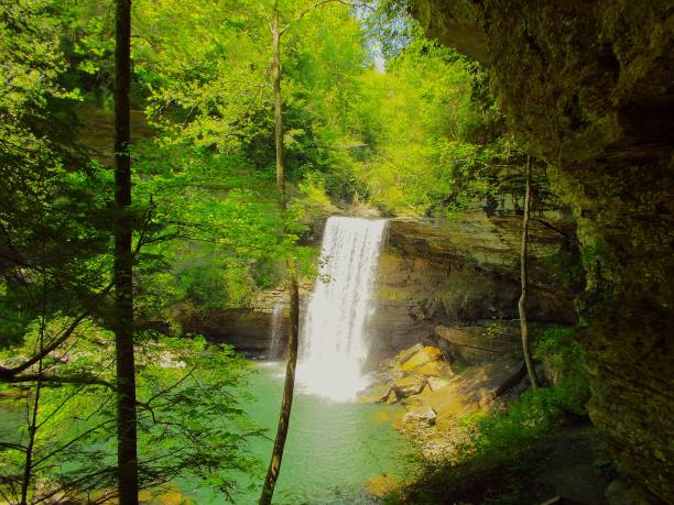 istock Greeter Falls in the Savage Gulf State Natural Area 1889852633