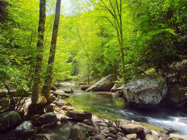 istock Greeter Falls in the Savage Gulf State Natural Area 1889852760