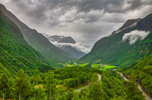 istock Wildlife in Norway - Part 1 1889891467
