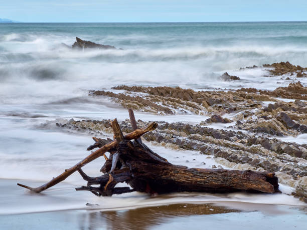 istock Flysch de Zumaia. Guipuzcoa. 1889892009