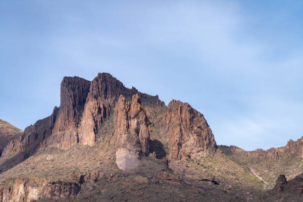 Colorful desert scenery with cactus, saguaros, chollas, prickly pear, and stunning distant mountains.