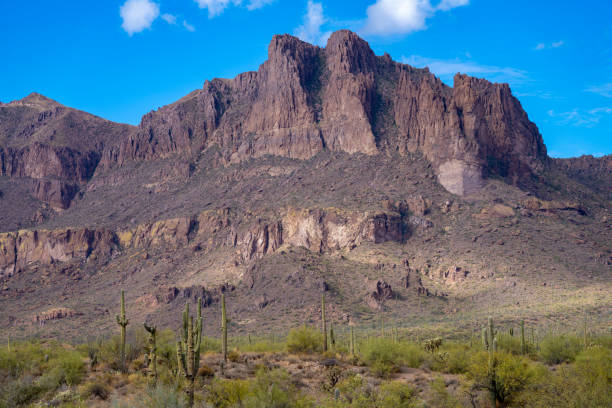 istock Arizona Desert landscapes with Cactus 1889921427