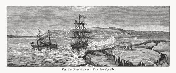 ilustraciones, imágenes clip art, dibujos animados e iconos de stock de cabo chelyuskin, península de taimyr, rusia, grabado en madera, publicado en 1894 - etching sailing ship passenger ship sea