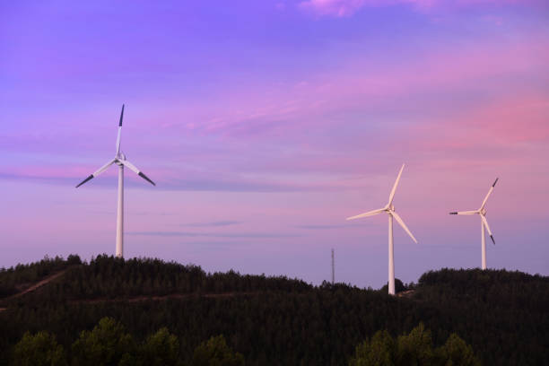 istock Wind farm in purple sunrise with copy-space. Navarre (Spain). 1889936113