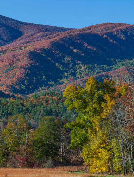 istock Autumn in Cades Cove 1889951162
